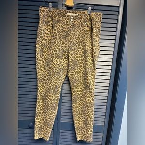 Torrid Leopard Jegging